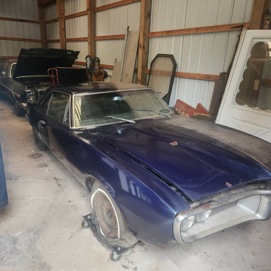 Pontiac-firebird-1967-blue