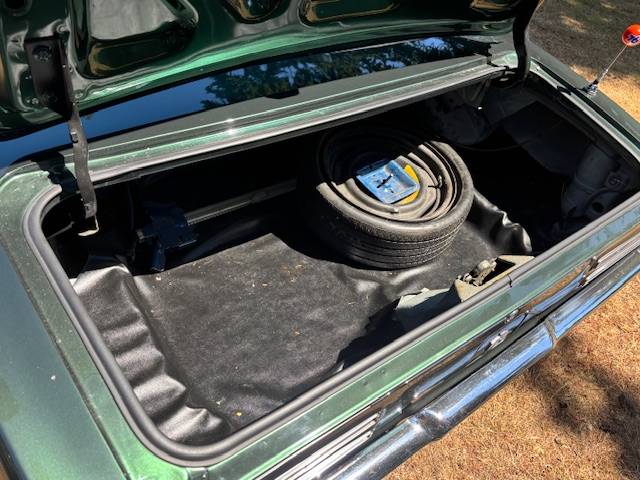 Pontiac-firebird-1967-green-10