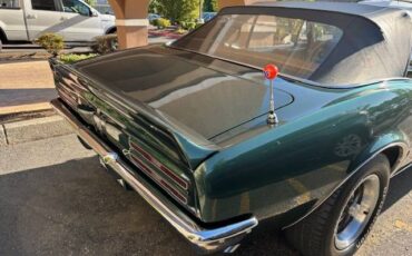Pontiac-firebird-1967-green-23