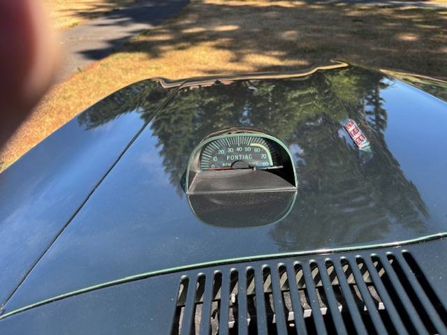 Pontiac-firebird-1967-green-5