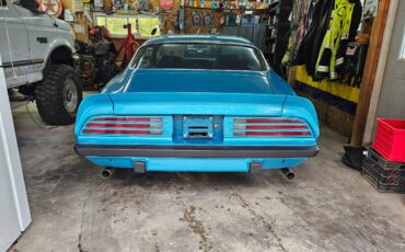 Pontiac-firebird-1974-7