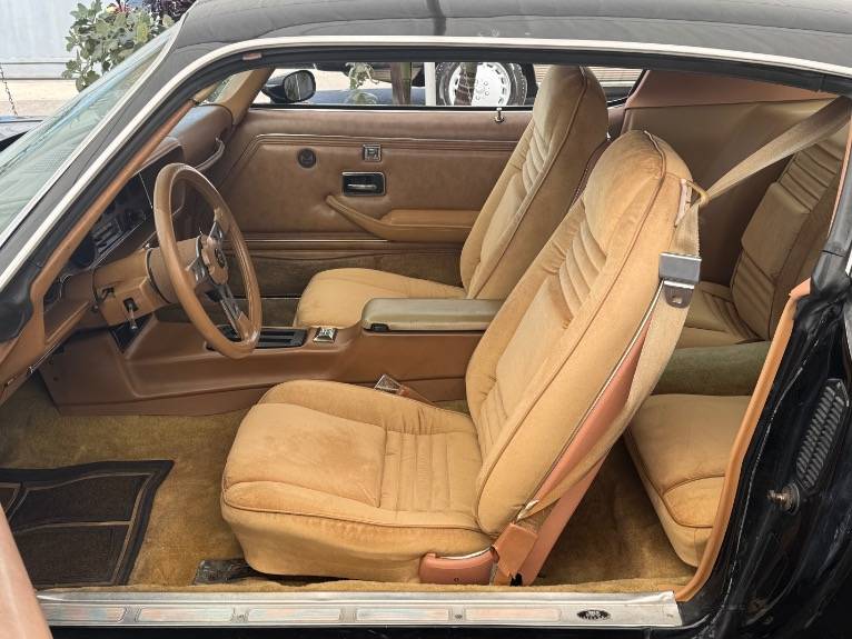 Pontiac-firebird-1979-10