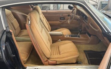 Pontiac-firebird-1979-11