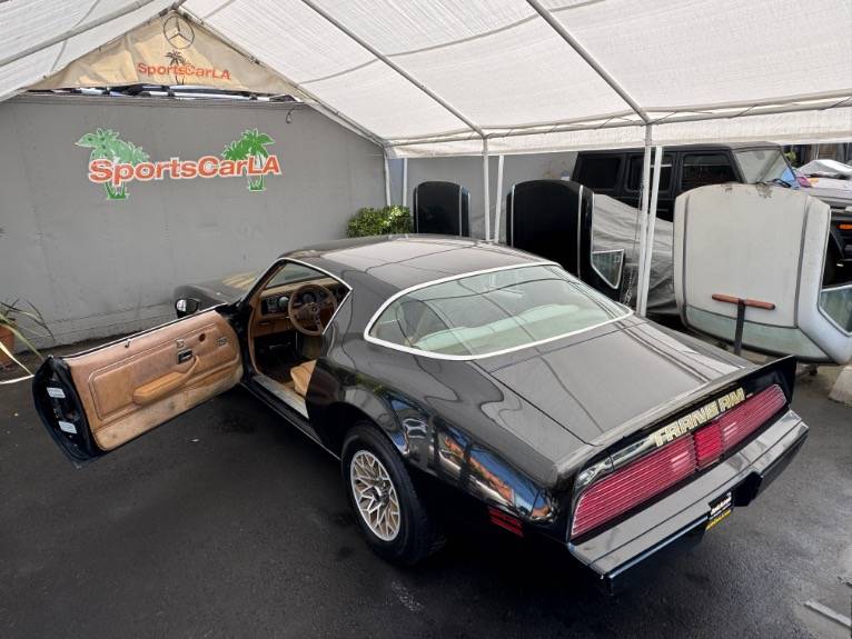 Pontiac-firebird-1979-2