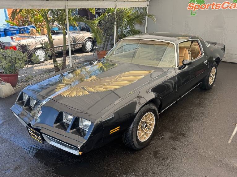 Pontiac-firebird-1979-4