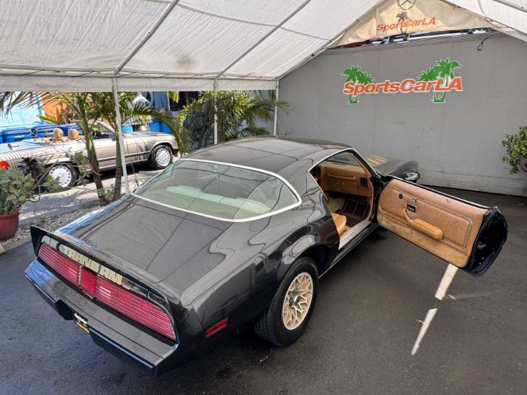 Pontiac-firebird-1979-9