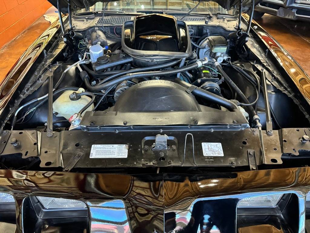 Pontiac-firebird-1981-black-119