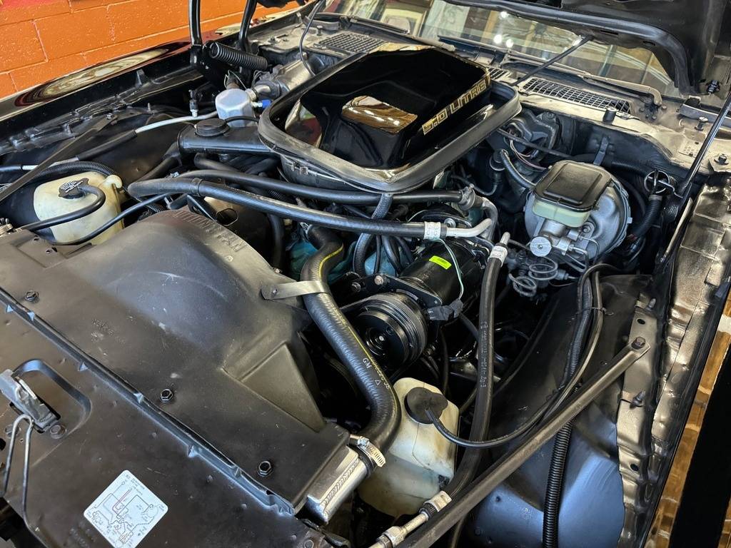 Pontiac-firebird-1981-black-120