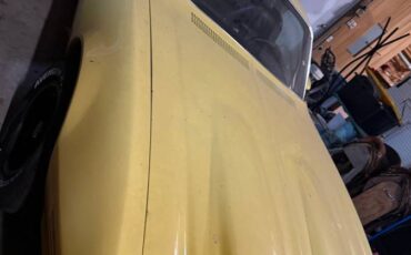 Pontiac-firebird-formula-1974-yellow-13