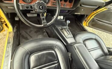 Pontiac-firebird-formula-1974-yellow-21