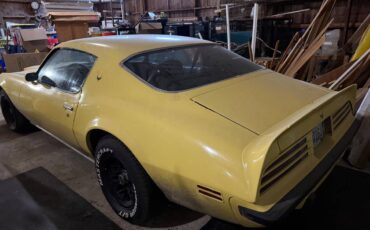 Pontiac-firebird-formula-1974-yellow-5