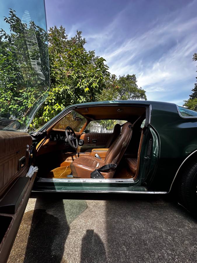 Pontiac-firebird-formula-1975-green-9