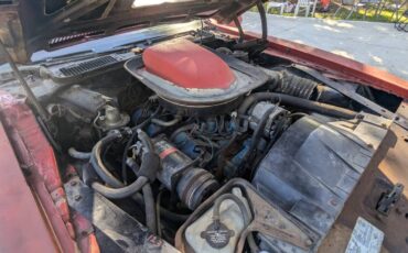 Pontiac-firebird-trans-am-1975-11