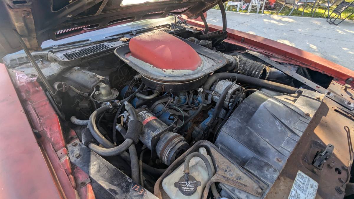Pontiac-firebird-trans-am-1975-11