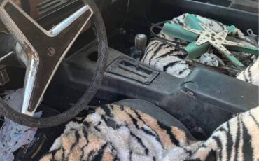 Pontiac-firebird-trans-am-1977-10