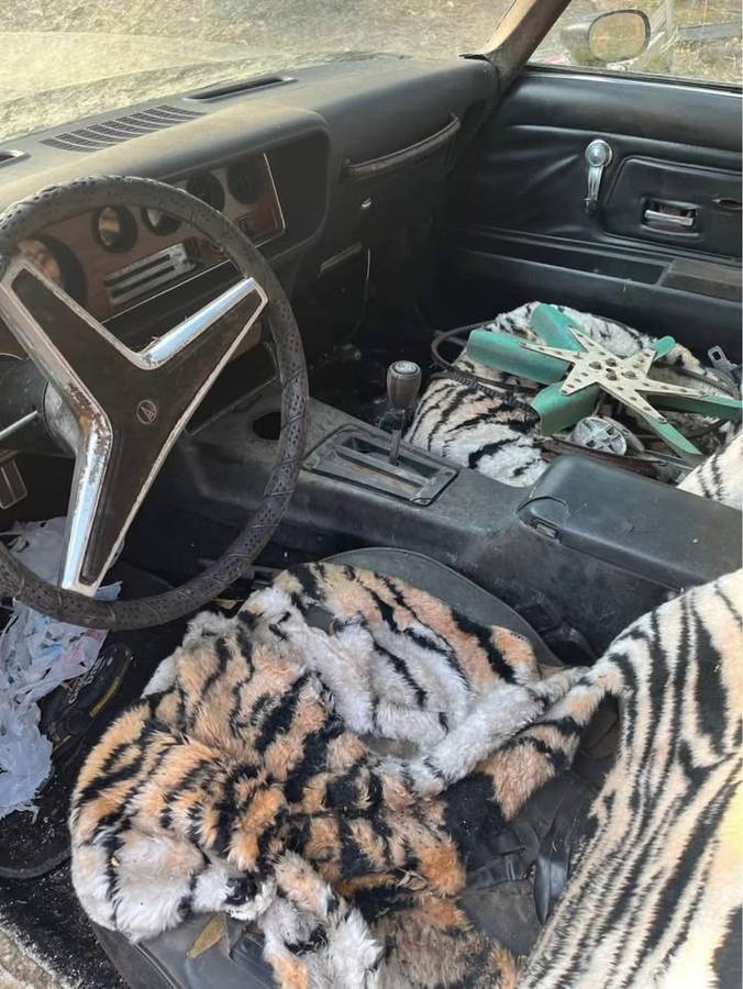 Pontiac-firebird-trans-am-1977-10