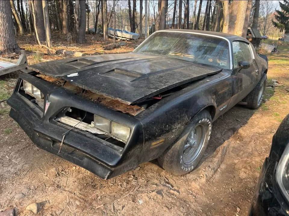 Pontiac-firebird-trans-am-1977-11