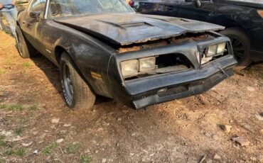 Pontiac-firebird-trans-am-1977-12