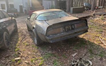 Pontiac-firebird-trans-am-1977-13
