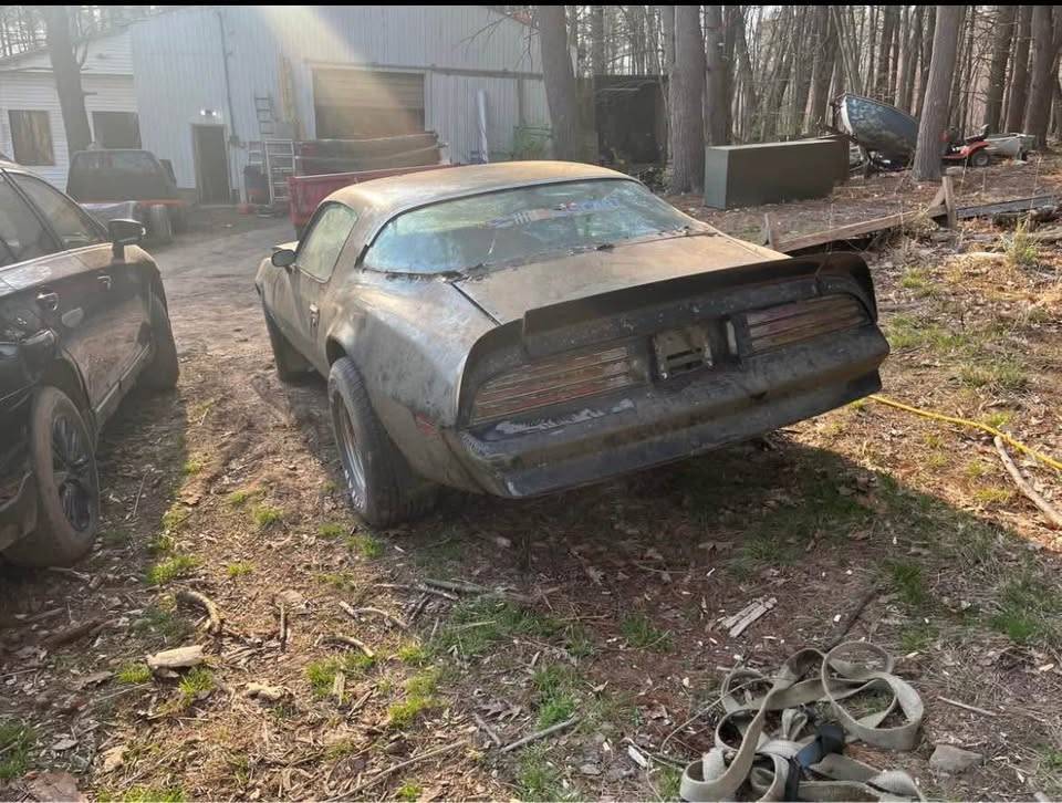 Pontiac-firebird-trans-am-1977-13