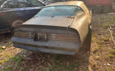 Pontiac-firebird-trans-am-1977-14