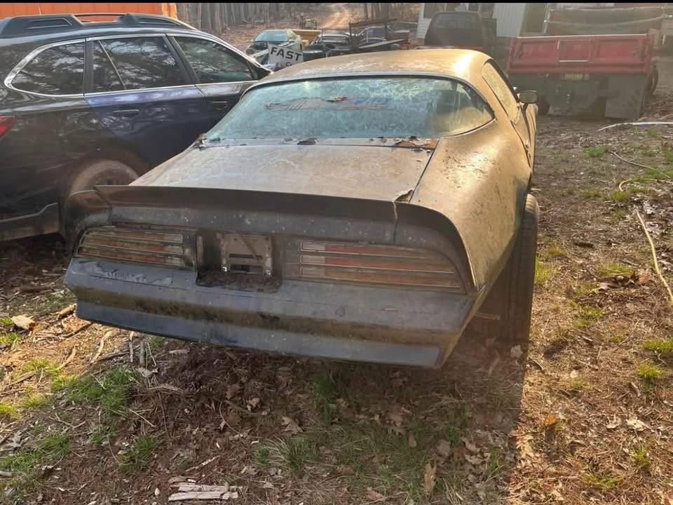 Pontiac-firebird-trans-am-1977-14
