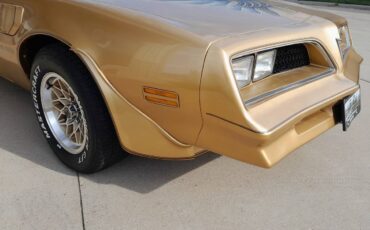 Pontiac-firebird-trans-am-1978-11