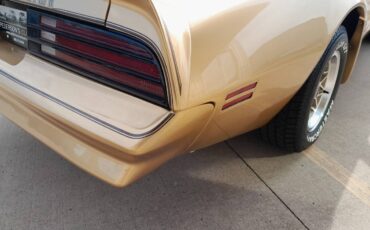 Pontiac-firebird-trans-am-1978-12