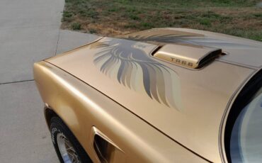 Pontiac-firebird-trans-am-1978-15