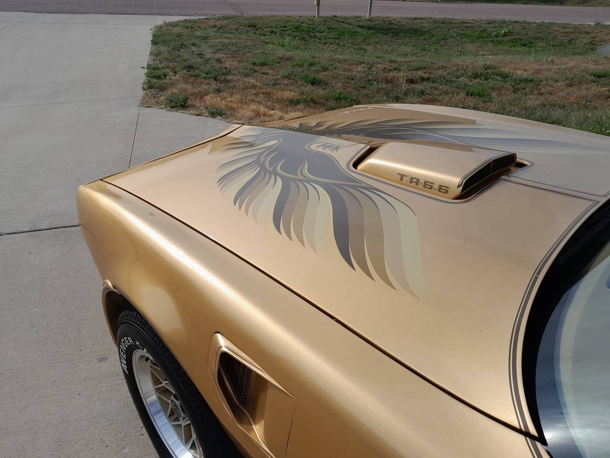 Pontiac-firebird-trans-am-1978-15
