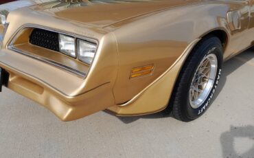 Pontiac-firebird-trans-am-1978-16