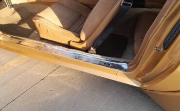Pontiac-firebird-trans-am-1978-2