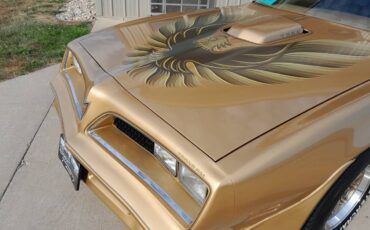 Pontiac-firebird-trans-am-1978-20