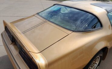 Pontiac-firebird-trans-am-1978-23