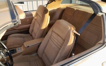 Pontiac-firebird-trans-am-1978-4