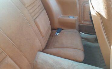 Pontiac-firebird-trans-am-1978-5
