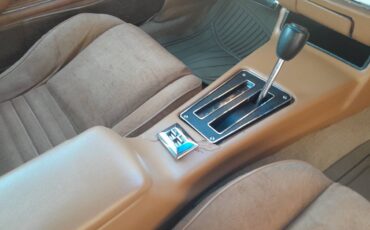 Pontiac-firebird-trans-am-1978-6