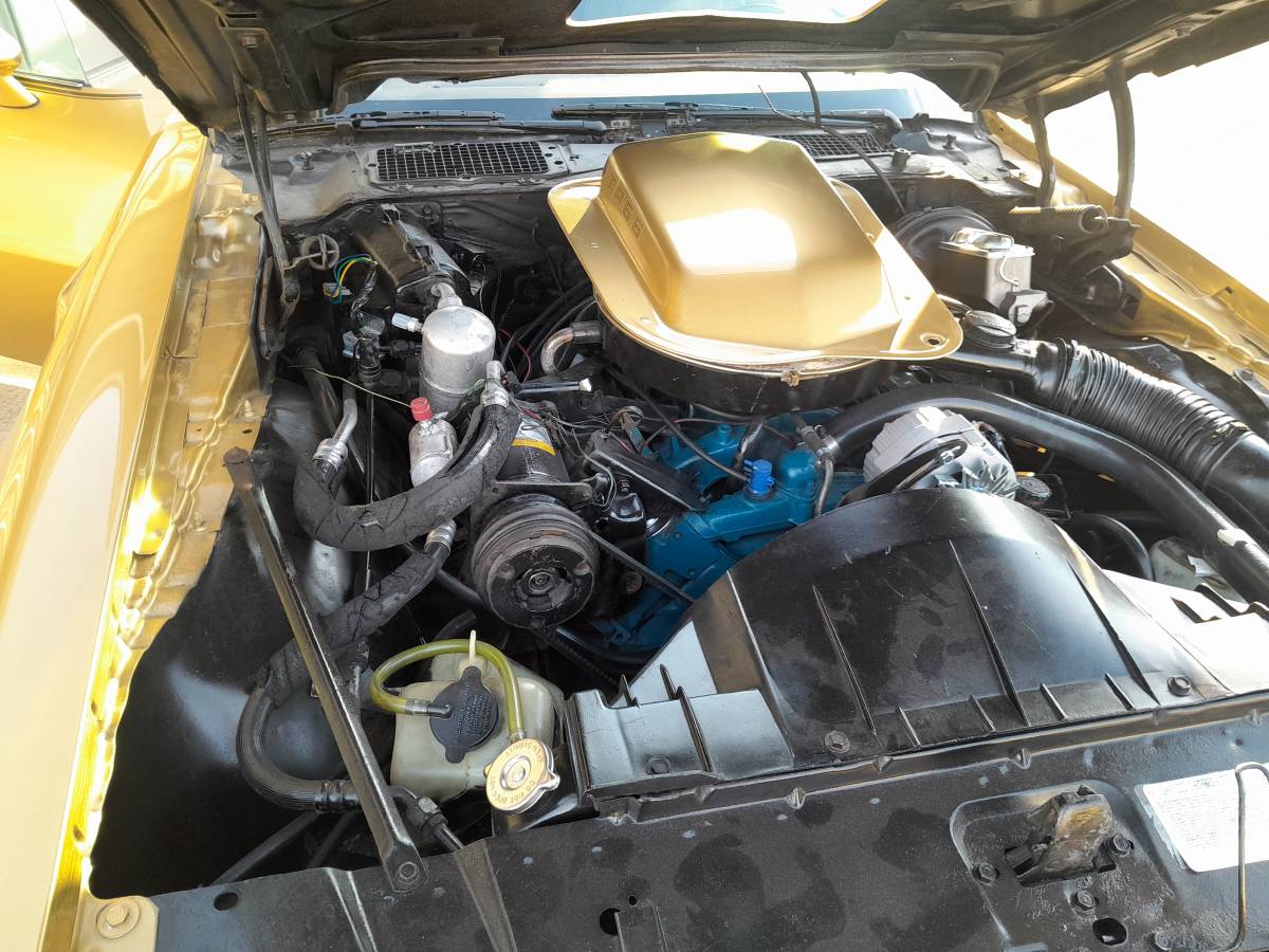 Pontiac-firebird-trans-am-1978-9