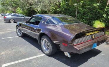 Pontiac-firebird-trans-am-1980-brown-10