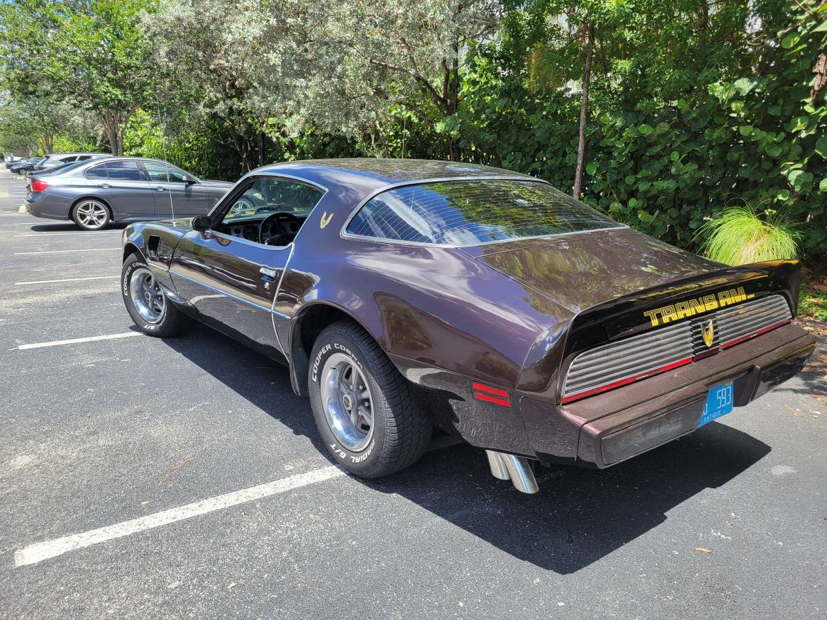 Pontiac-firebird-trans-am-1980-brown-10