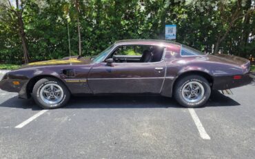 Pontiac-firebird-trans-am-1980-brown-11