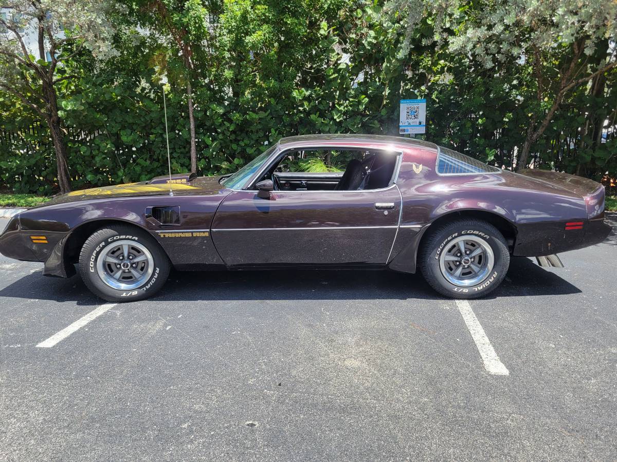 Pontiac-firebird-trans-am-1980-brown-11