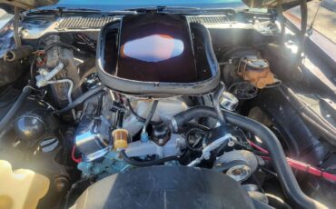 Pontiac-firebird-trans-am-1980-brown-2