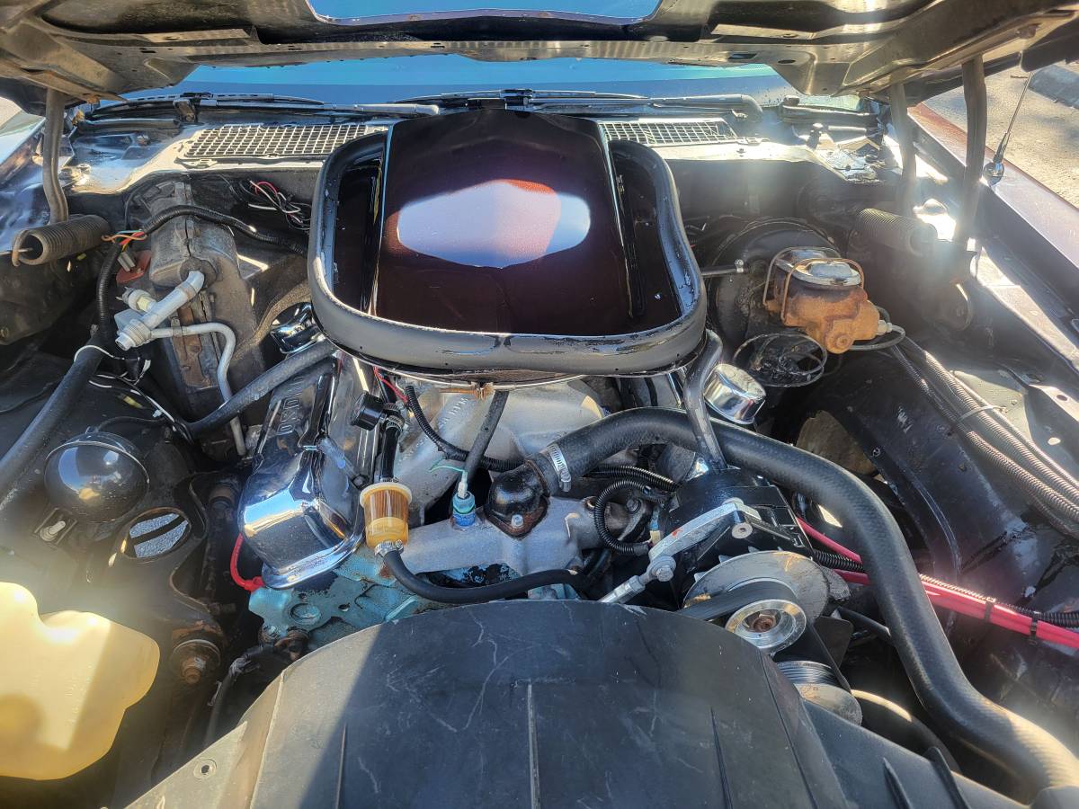 Pontiac-firebird-trans-am-1980-brown-2