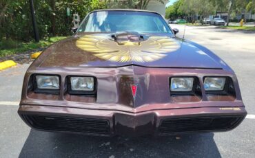 Pontiac-firebird-trans-am-1980-brown