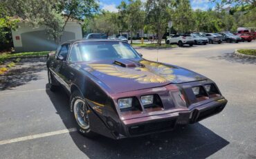 Pontiac-firebird-trans-am-1980-brown-6