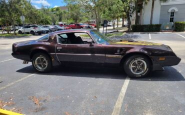 Pontiac-firebird-trans-am-1980-brown-7
