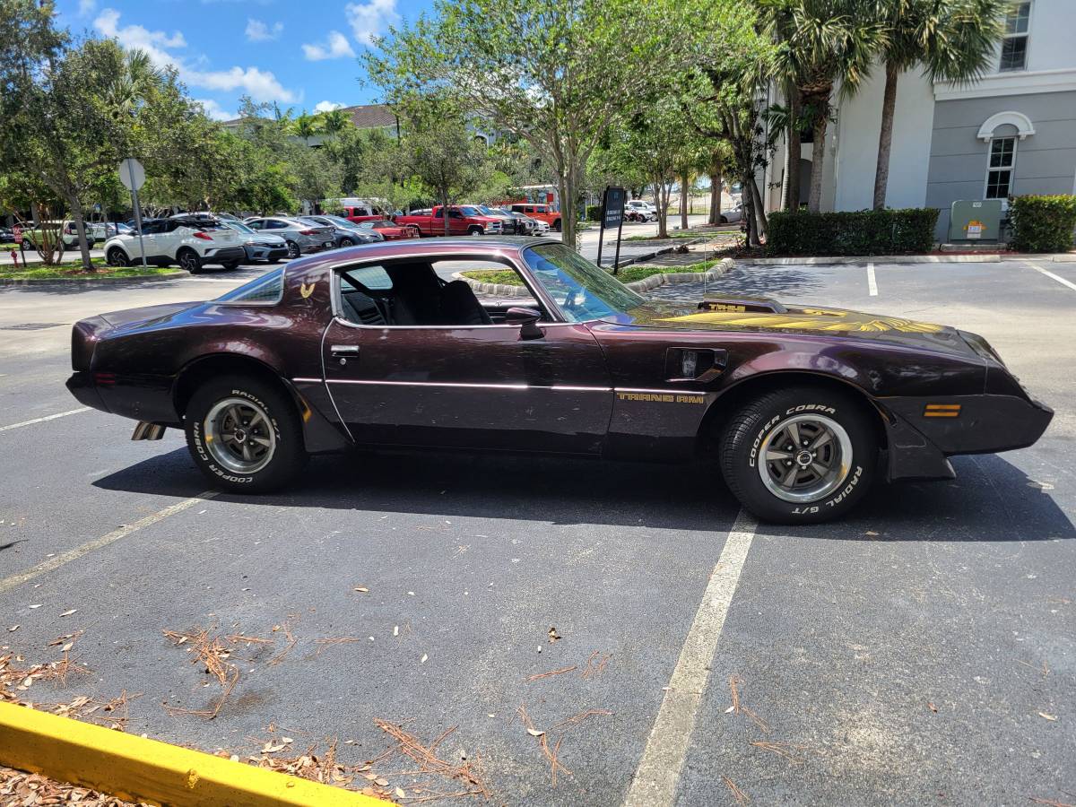Pontiac-firebird-trans-am-1980-brown-7