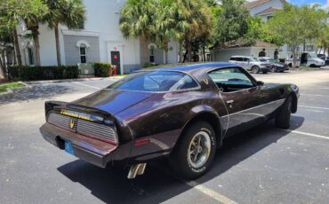 Pontiac-firebird-trans-am-1980-brown-8