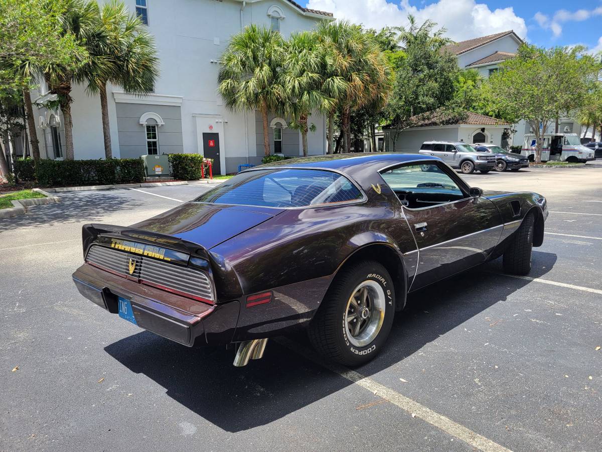 Pontiac-firebird-trans-am-1980-brown-8